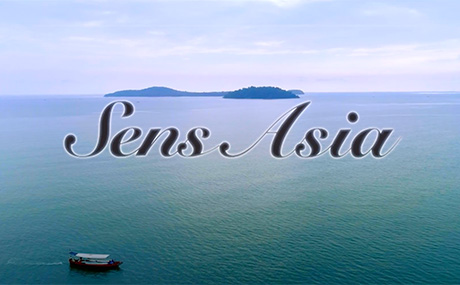 Sense Asia Sense Asia